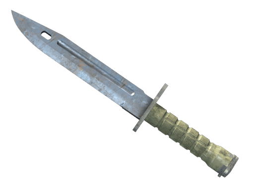 ★ Bayonet | Pas Palto